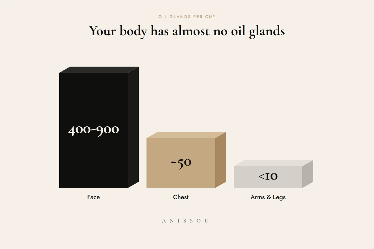Bar chart comparing oil gland density: face 400-900 per cm², chest ~50, arms and legs under 10