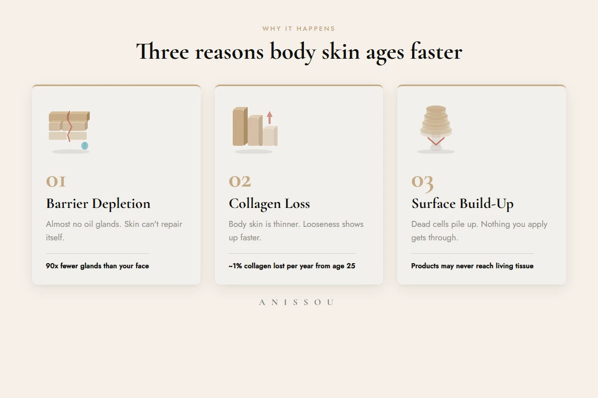 Three visual cards: barrier depletion, collagen loss, surface congestion -three causes of body skin aging